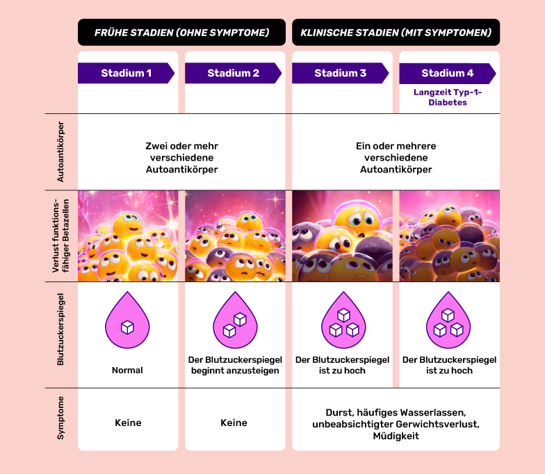 Stages in autoimmune type 1 diabetes diagram