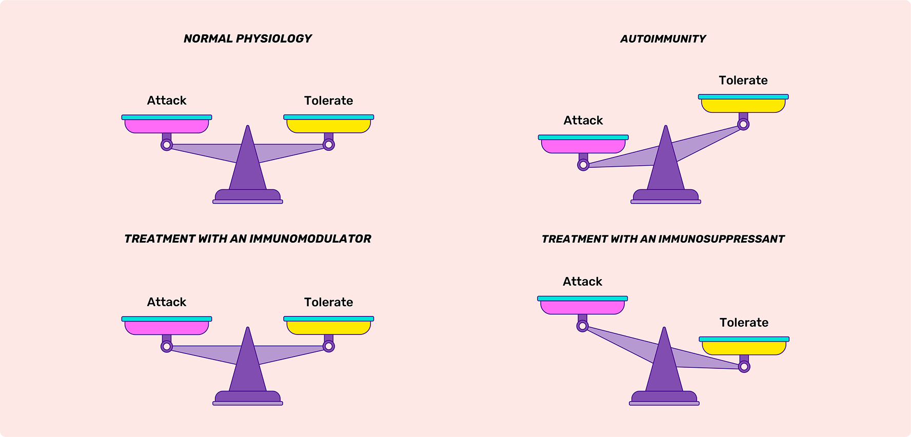 restoring immune balance diagram