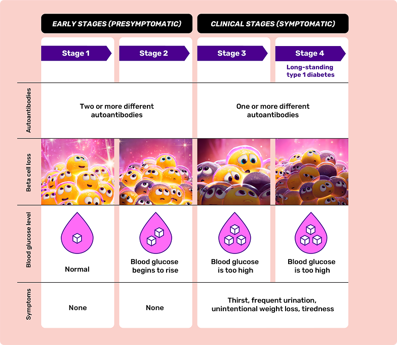 Stages in autoimmune type 1 diabetes diagram