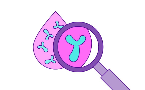 Screening autoimmune type 1 diabetes graphic